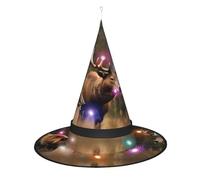 BKDODKS Chapeau de sorcière d'Halloween avec imprimé cerf ours et élan, chapeau de sorcière lumineux pour adulte