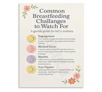 BKGWCSOR Mothers Breastfeeding Education Metal Sign Understanding Common Nursing Issues Chart for Care Clinic Decor 8 X 12 in