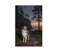 BKHJSASU Poster sur toile représentant un chien de berger des Shetland au coucher du soleil (4) - Décoration pour chambre à coucher, bureau, chambre - Cadeau - 50 x 75 cm