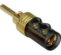 BKL Electronic 0106008 Fiche banane mâle, droit Ø de la broche: 4 mm noir 1 pc(s)