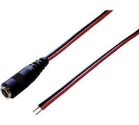 BKL Electronic 075163 Câble de raccordement basse tension DC femelle - extrémité(s) ouverte(s) 5.50 mm 2.50 mm 2.50 mm 30.00 cm 1 set