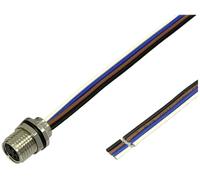 BKL Electronic 2701010 Prise encastrée pour capteur/actionneur M8 0.2 m Nombre de pôles: 4 1 pc(s)