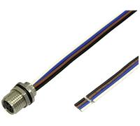 BKL Electronic 2701011 Prise encastrée pour capteur/actionneur M8 0.2 m Nombre de pôles: 4.5 1 pc(s)