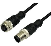 BKL Electronic 2702041 Rallonge pour capteur/actionneur M12 fiche droite vers raccord droit 5 m Nombre de pôles: 4.5 1 pc(s)