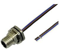 BKL Electronic 2703005 Fiche encastrée pour capteur/actionneur M12 0.5 m Nombre de pôles: 4.5 1 pc(s)