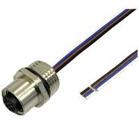 BKL Electronic 2703007 Prise encastrée pour capteur/actionneur M12 0.5 m Nombre de pôles: 4 1 pc(s)
