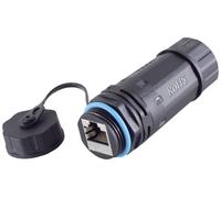 BKL Electronic Connecteur RJ45, Cat 6, IP68, short, extérieur 10121208 Nombre de pôles 8 noir 1 pc(s)