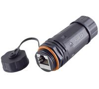 BKL Electronic Connecteur RJ45 10121209 Cat 6a IP68 Court Extérieur 8 pôles Noir 1 pc