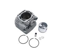 BKRZRN Kit de Segments Piston Cylindre 56 mm for scie à béton TS700 TS800, remplace la référence 4224 020 1202 De Rechange