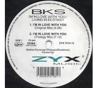 Bks - I'm in Love with You