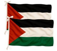 BL BELUM Lot de 2 drapeaux palestiniens haute résistance au vent et à l'extérieur - Drapeau palestinien avec liens lavables et coutures renforcées - 90 x 150 cm