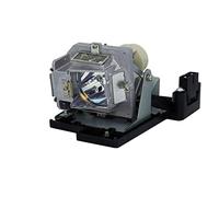 BL-FP180D / DE.5811116037-S Lampe de rechange avec boîtier pour projecteur OPTOMA DS219//DS317//DX617//ES522//ES526B//ES531//EX532//EX533P//TX532