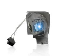 BL-FP240E BL-FU240B SP.78V01GC01 SP.7AF01GC01 Lampe de projecteur de remplacement compatible avec OPTOMA UHD60 UHD65 UHD52ALV9 UHD50 UHD50X UHD51/A avec boîtier