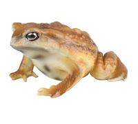 Blablablalu Figurine Toad Figurine Réaliste Simulate Frog and Toad Animal Figurines for Kids Educational Animal Model for Birthday, Party Favors and Science Projets