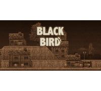 Black Bird (Nintendo)