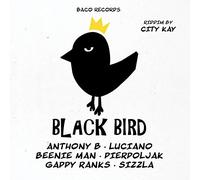 Black Bird Riddim