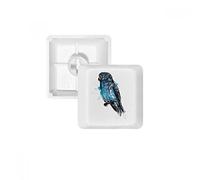 Black Blue Parrot Bird PBT Keycaps pour clavier mécanique Blanc OEM sans marquage R3 multicolore