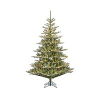 Black Box Trees Celtis Sapin de Noël Artificiel avec éclairage LED - H215 x Ø135 cm - Vert givré