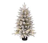 Black Box Trees Grimshaw Sapin de Noel Potted Dual LED Vert Givre Blanc Chaud 50L 120 Tips Batterie et minuteur-h90xd61cm