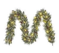 Black Box Trees Vandans Guirlande de Noël avec éclairage LED - L270 cm - Vert givré