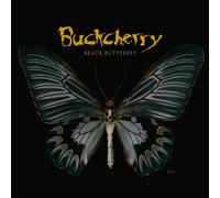 Black Butterfly