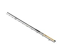 Black Cat Battle Cat Catfish Rod Argenté 3.20 m / 250 g