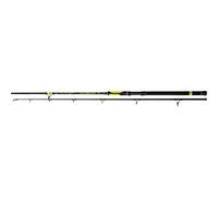 Black Cat Perfect Passion Boat Catfish Rod Jaune,Noir 2.50 m / 400 g