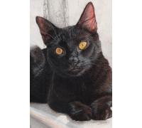 Black Cat Diary 2026, Approx A5 Week Per Page with Artwork by Sally Sturgess.: With UK Holidays, Pagan Festivals and Moon Phases. Perfect cat lover gift. Supports a UK artist.
