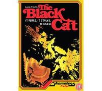 Black Cat G