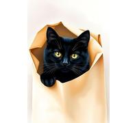 Black Cat Hiding In A Brown Paper Bag Notebook: Matte Paperback Notebook: 120 Pages Size 6 inches x 9 inches