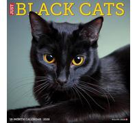 Black Cats 2026 12 X 12 Wall Calendar
