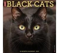Black Cats 2026 Wall Calendar