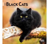 Black Cats | 2027 7 x 14 Inch (Hanging) Monthly Mini Wall Calendar | BrownTrout | Animals Feline Pets