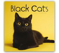 Black Cats - Chats Noirs 2025 - Calendrier Mural : Calendrier Carousel original [Multilingue] [Calendrier] (Calendrier Wall)