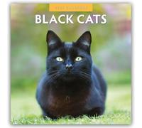 Black Cats - Schwarze Katzen 2027 - 16-Monatskalender: Original Red Robin Publishing Ltd-Kalender [Mehrsprachig] [Kalender]