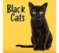 Black Cats - Schwarze Katzen 2027 - Wand-Kalender: Original Carousel-Kalender [Mehrsprachig] [Kalender]