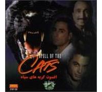 Black Cats - Spell of The Cats