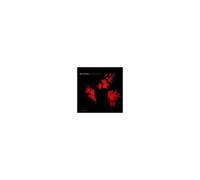 Bob Belden – Black Dahlia – Import