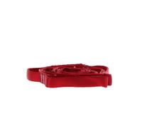 Sangle Daisy Black Diamond Nylon 18 mm x 115 cm rouge