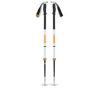 Black Diamond Bâtons de ski Traverse Pro Argenté 105-155 cm