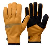 Black Diamond Gants Everyday Softshell