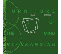 BLACK DIAMOND - FURNITURE OF THE MIND REARRANGING 2 VINYL LP NEUF