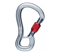 Mousqueton BLACK DIAMOND Gridlock Screwgate Carabiner (Gris) Taille unique