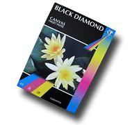 Black Diamond Lot de 50 feuilles A3 papier jet d'encre 220 g/m²