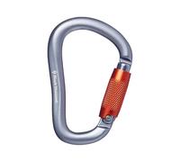 Black Diamond Mousqueton RockLock TwistLock Gris Taille unique