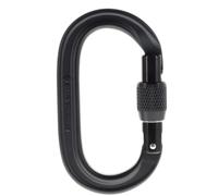 Black Diamond Oval Keylock Screwgate Mousqueton à vis Taille unique Noir