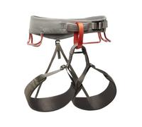 Black Diamond - Harnais d'escalade polyvalent - M Momentum Harness Moonstone pour Homme - Taille 175-186 cm - Gris Gris 175-186 cm