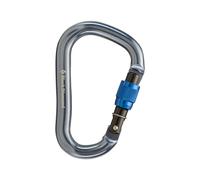 Black Diamond Rocklock Screwgate Carabiner Bleu - Mousquetons et systèmes d'amarrage pour activités outdoor