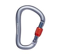 Black Diamond - Rocklock Screwgate Carabiner - Mousqueton Gray - Taille unique