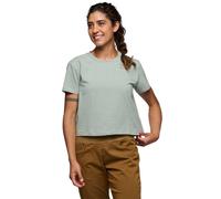 Black Diamond T-shirt à Manches Courtes Stripe